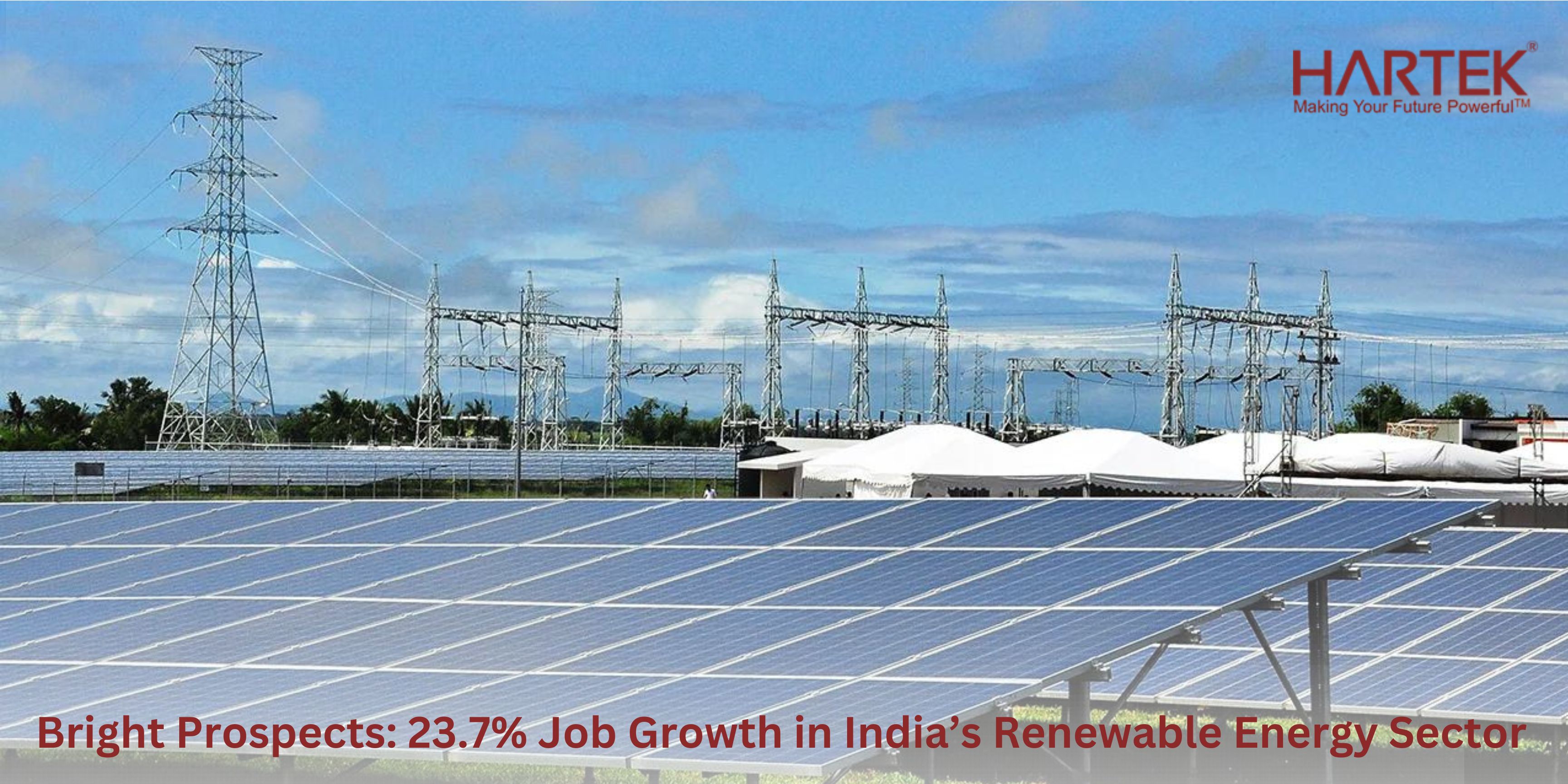 Employment Opportunities in Renewable Energy Rise by 23.7% in 2024