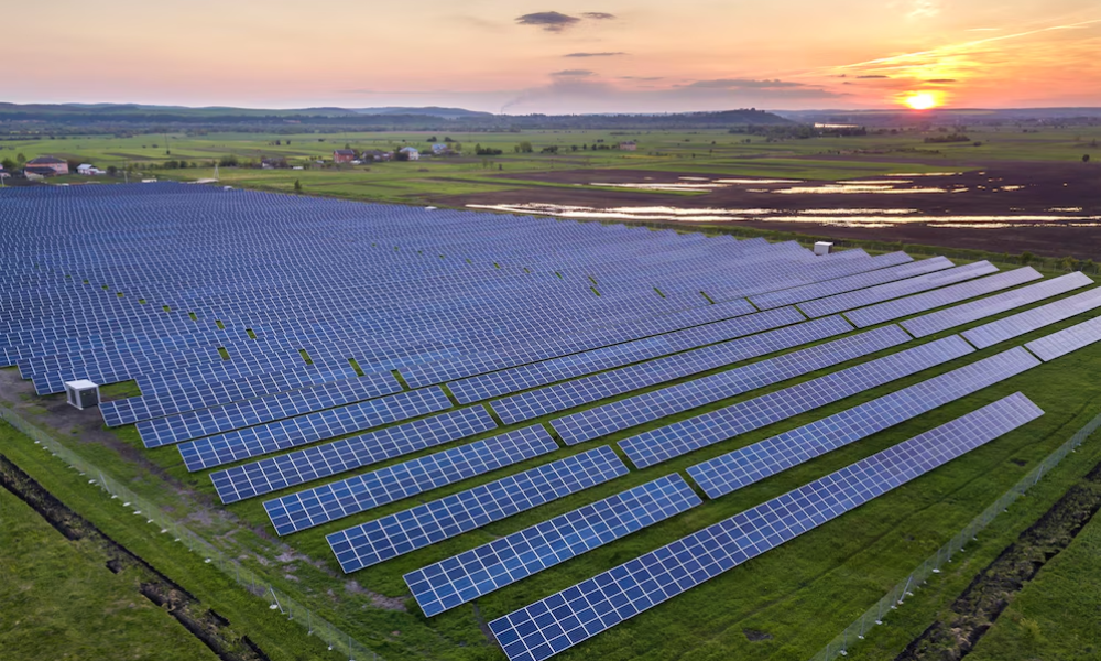 Hartek Group Applauds Government’s Interim Budget 2024, Paving the Way for Renewable Energy Revolution