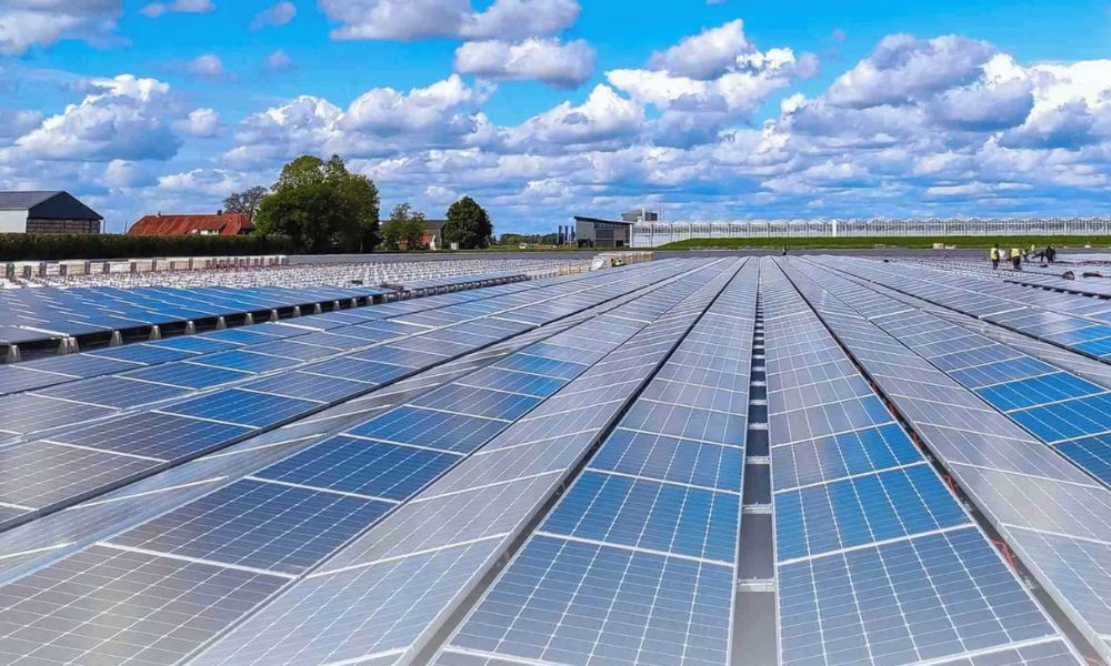 Different Types Of Solar Panels Used In India: Explore Your Options