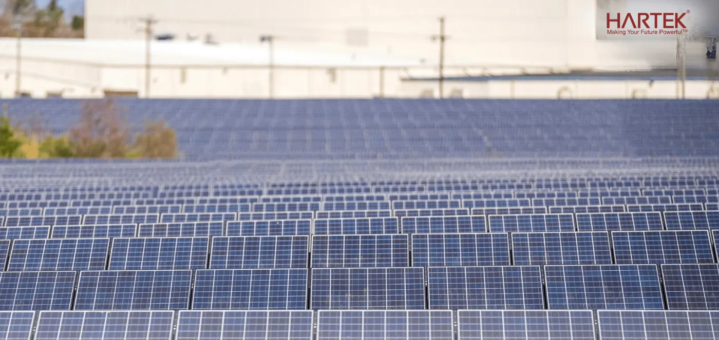 Renewable Energy Surge: Key Factors Driving Growth In Clean Energy Firms