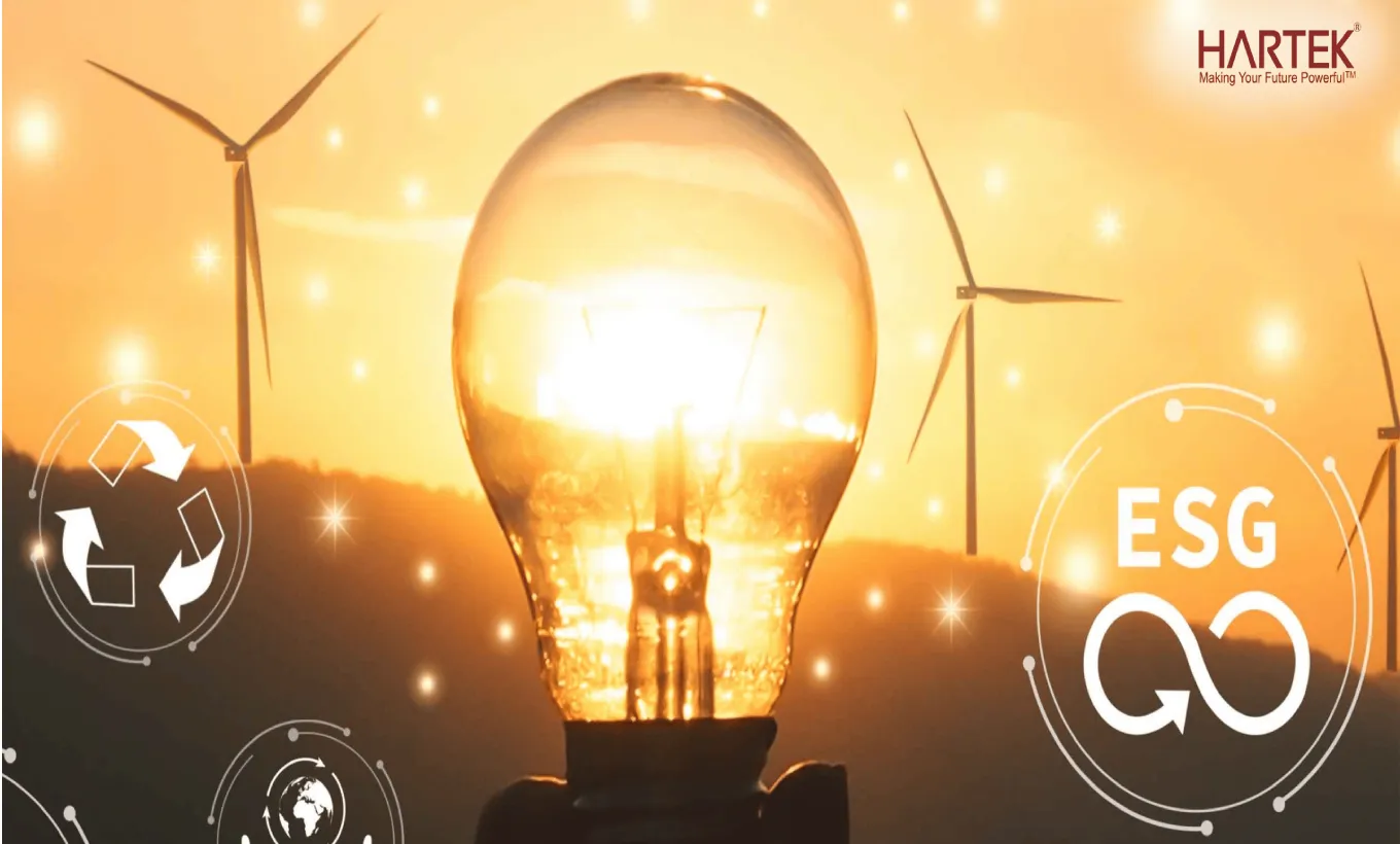 Future of Sustainability- How Companies Are Pioneering Low-Carbon Solutions