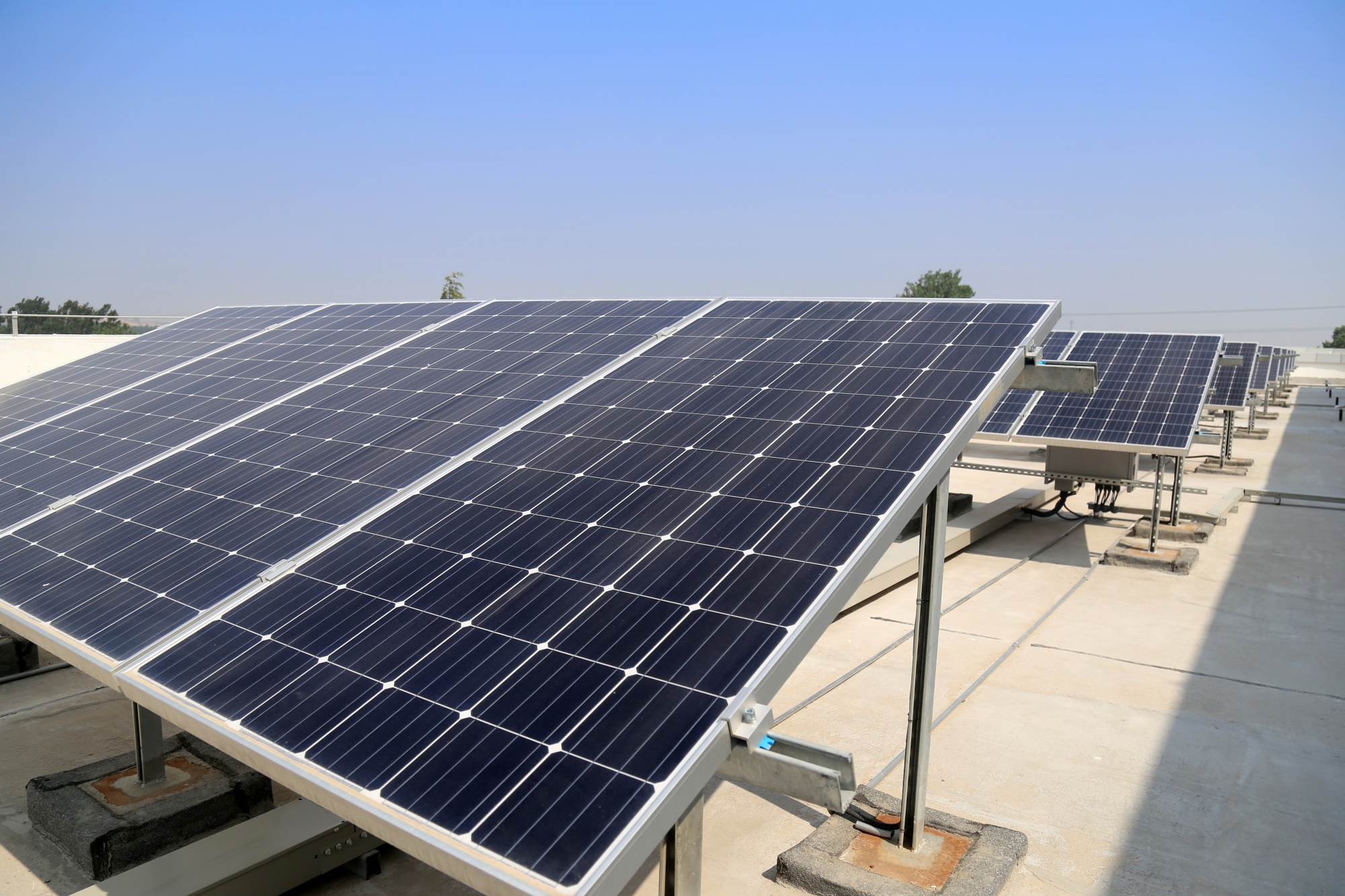 sustainable renewable energy
