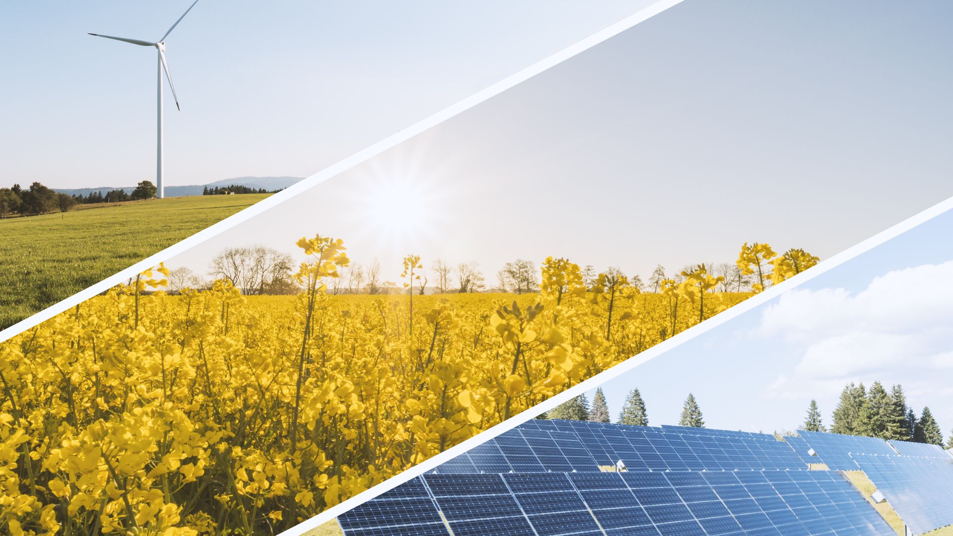 From Megawatts to Reliability: Setting New Standards for the Energy Transition
