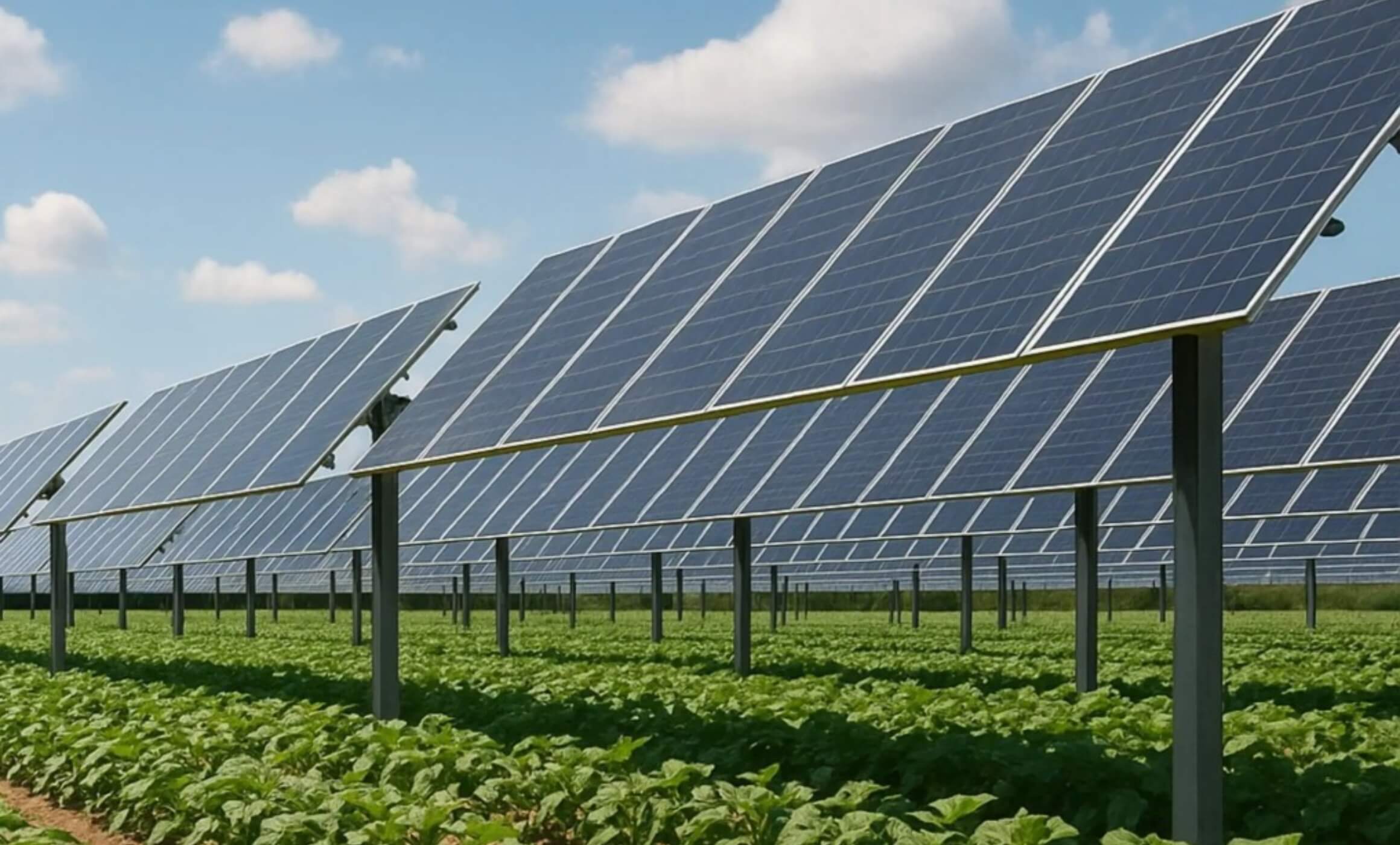 Agrivoltaics in India: Solving the Land-Energy Paradox in Punjab