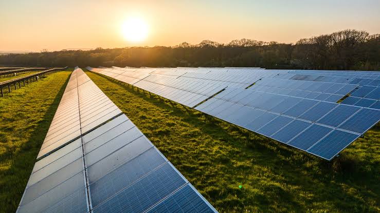 top solar epc companies in india